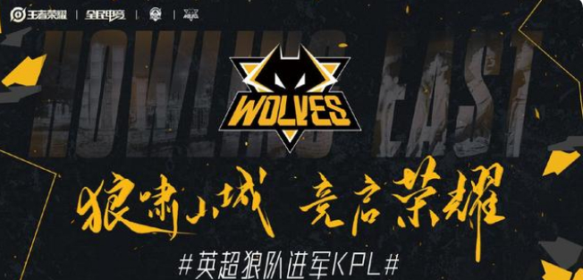 应复盘